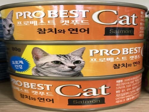 프로베스트 캣푸드 참치와 연어 반려묘 사료 80g