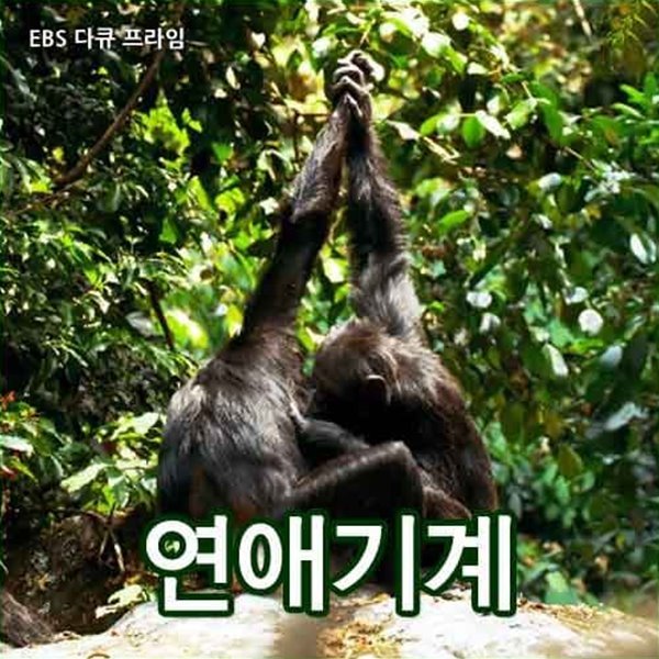 연애기계 - 자연다큐멘터리