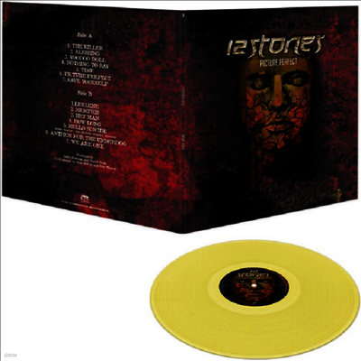 12 Stones — Picture Perfect (Gatefold) 앨범 커버