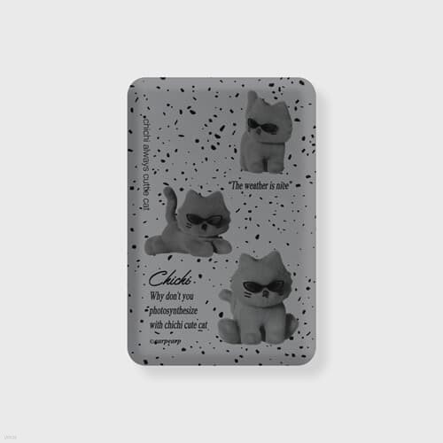 SUNGLASSES CHICHI-GREY(͸-)