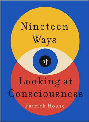 Nineteen Ways of Looking at Consciousness