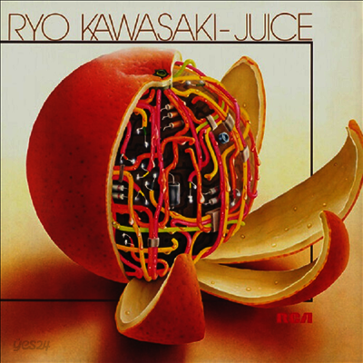 Ryo Kawasaki - Juice (LP)