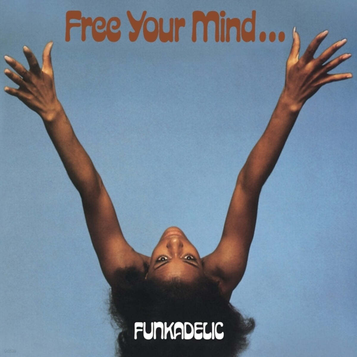 Funkadelic (펑카델릭) - Free Your Mind And Your Ass Will Follow [LP]