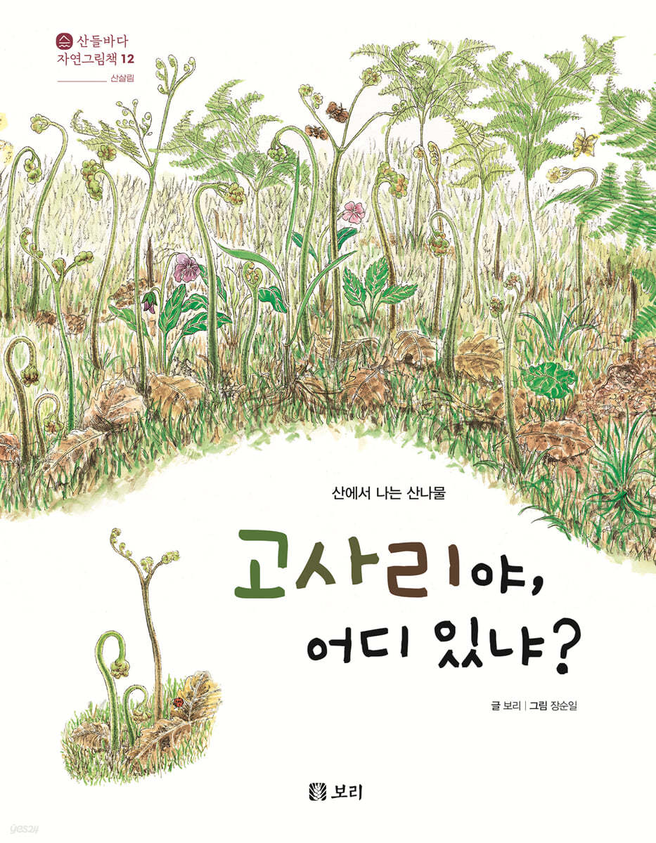 고사리야, 어디 있냐?