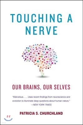 Touching a Nerve: Our Brains, Our Selves