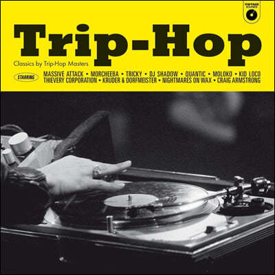 Ʈ   (Classics By Trip-Hop Masters) [LP]