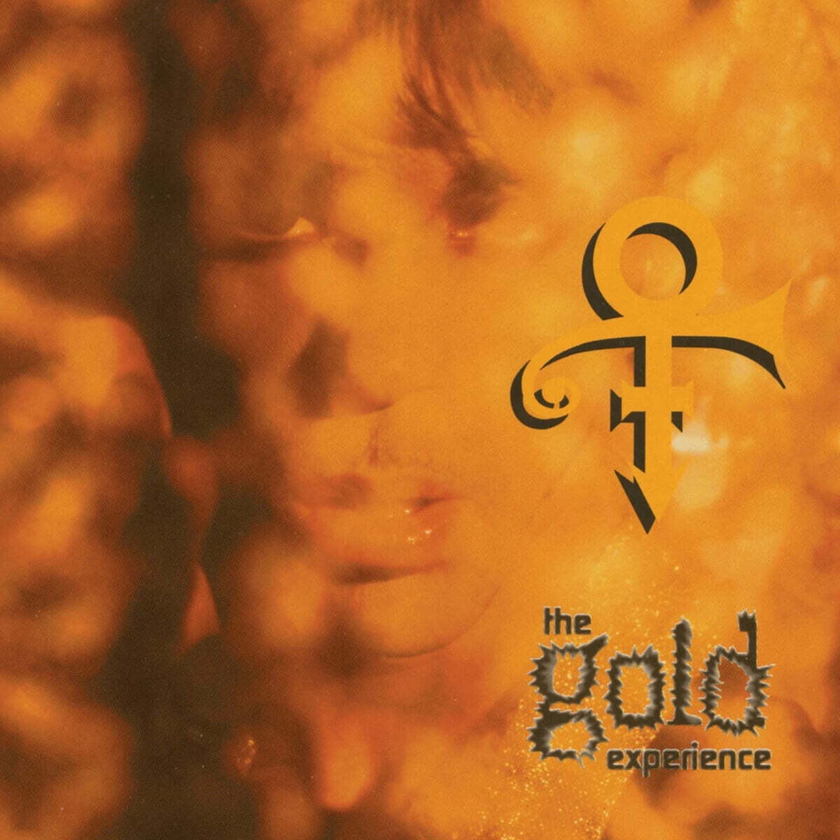 Prince (프린스) - The Gold Experience