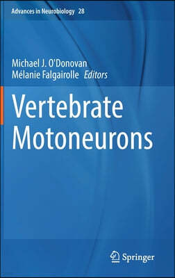 Vertebrate Motoneurons