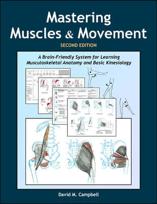 Mastering Muscles and Movement: A Brain-Friendly System for Learning Musculoskeletal Anatomy and Basic Kinesiology