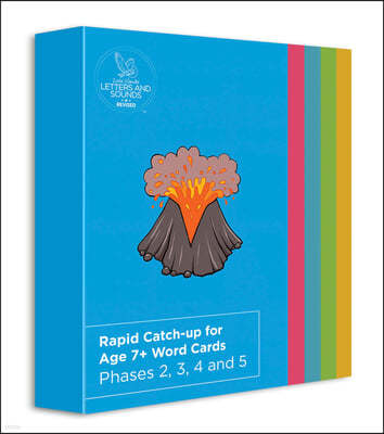 The Rapid Catch-up for Age 7+ Word Cards (ready-to-use cards)