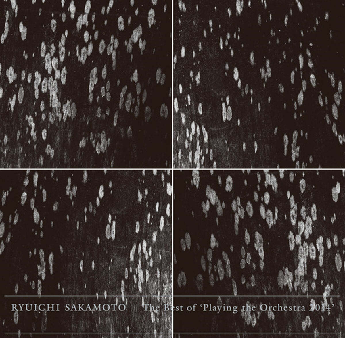 Ryuichi Sakamoto (류이치 사카모토) - The Best of &#39;Playing the Orchestra 2014&#39;