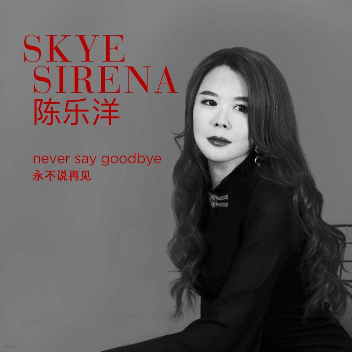 Skye - Never Say Goodbye