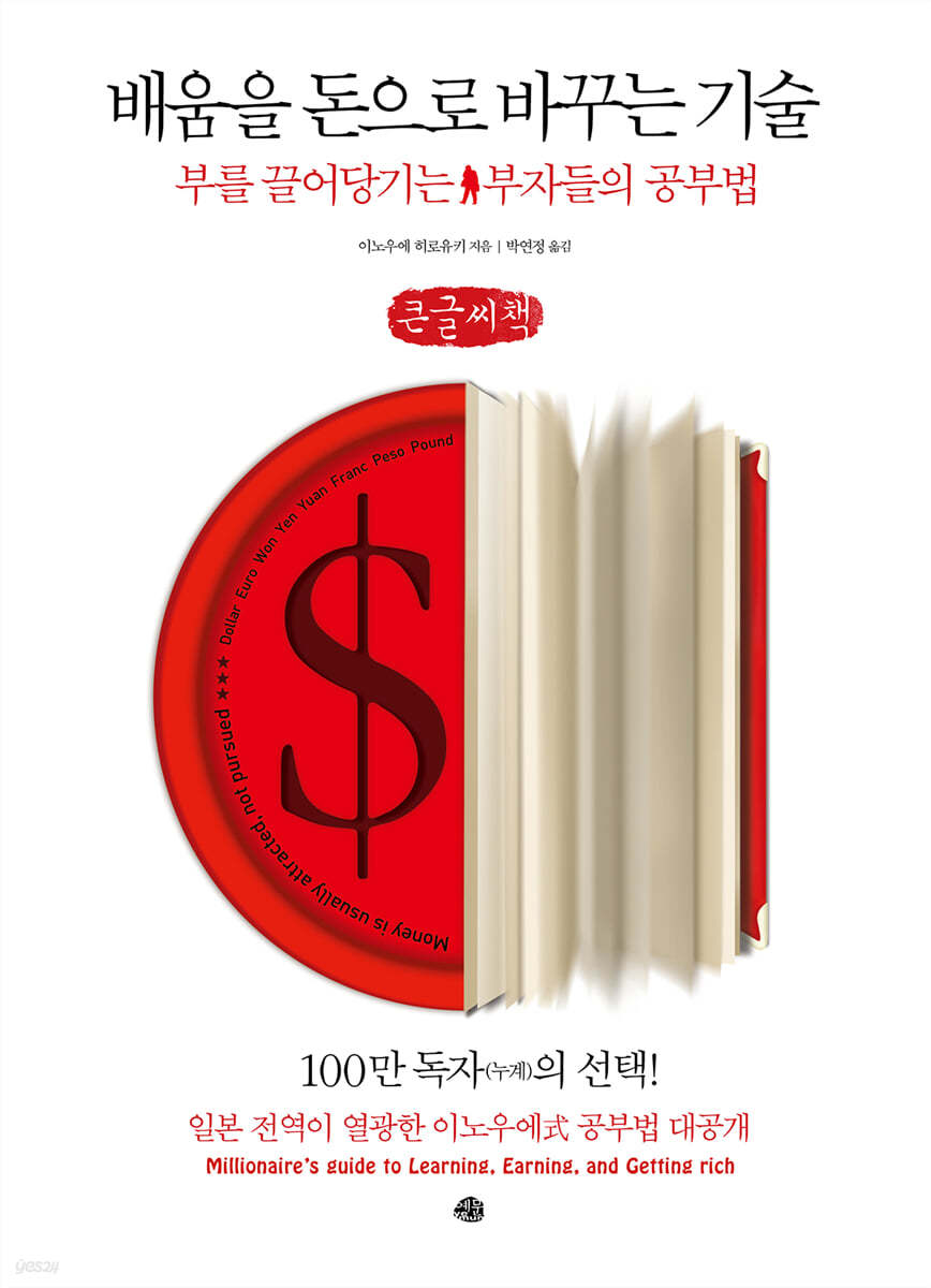 배움을 돈으로 바꾸는 기술 (큰글씨책)