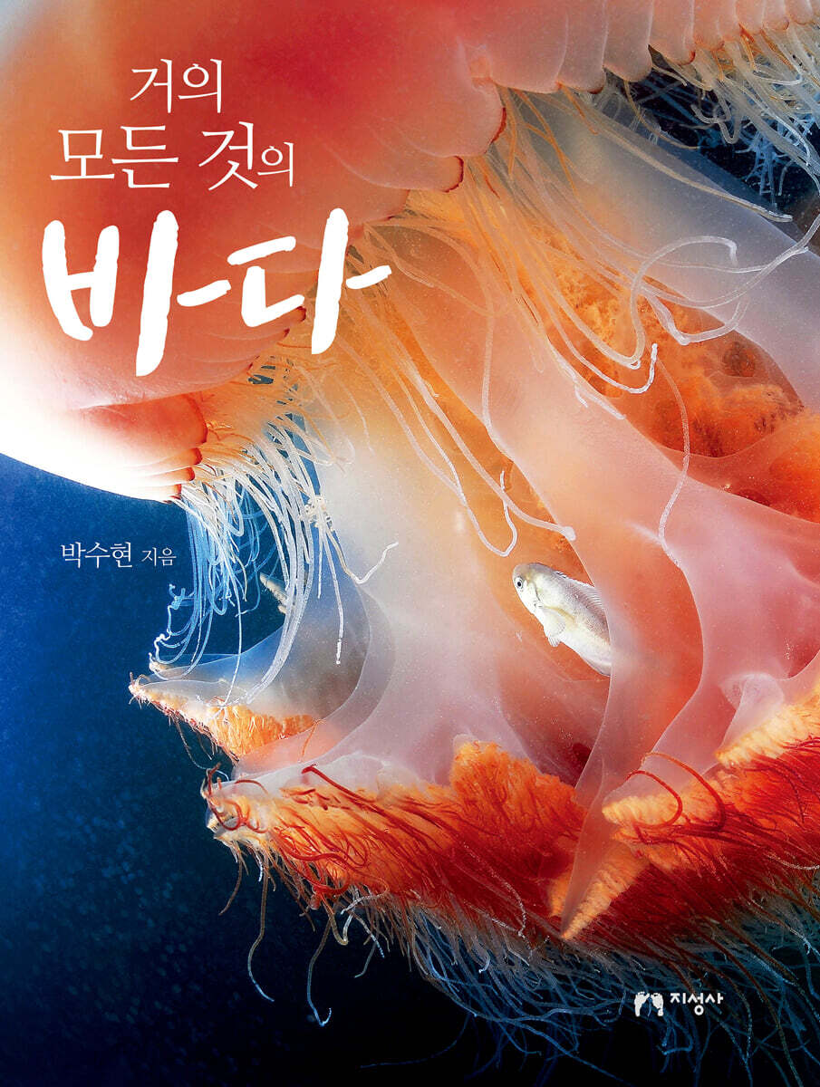 거의 모든 것의 바다