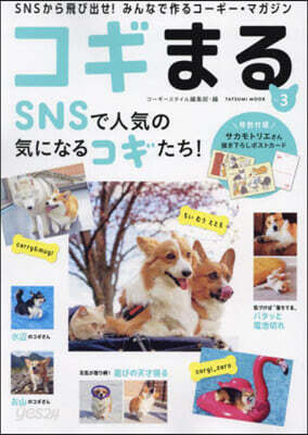 コギまる Vol.3