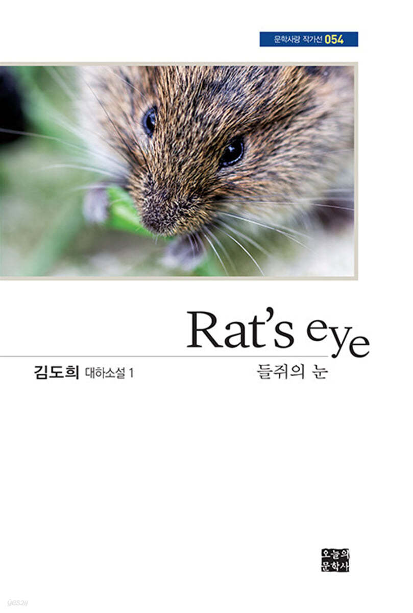 Rat's eye 들쥐의 눈