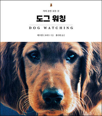 도그 워칭 Dog Watching