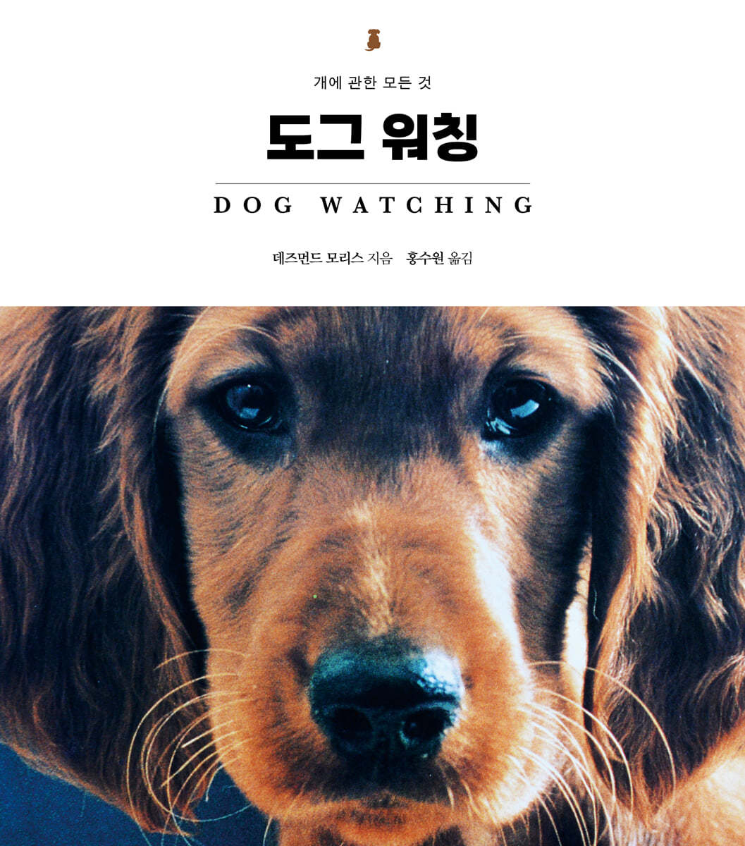 도그 워칭 Dog Watching