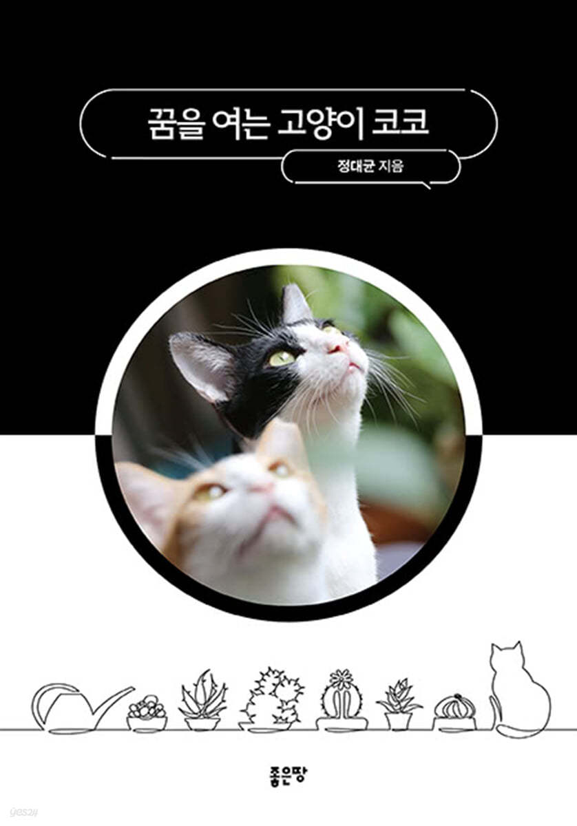 꿈을 여는 고양이 코코