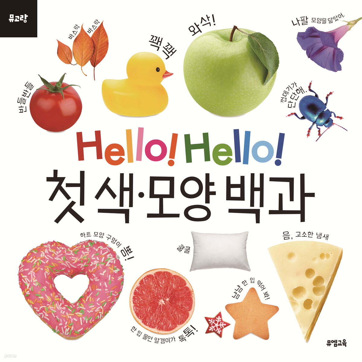 Hello! Hello! 첫 색·모양 백과
