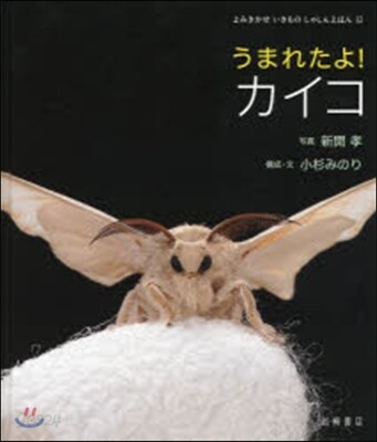 うまれたよ!カイコ