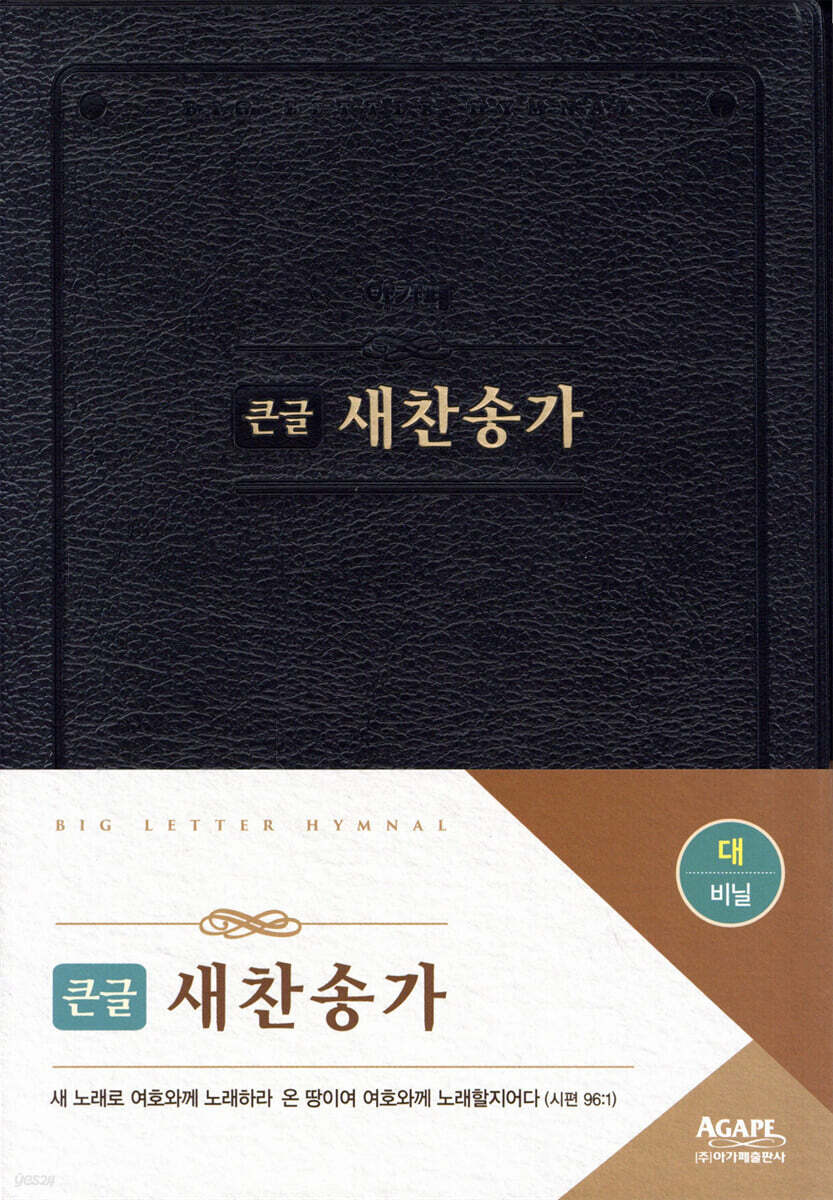 큰글 새찬송가 대 비닐 검정