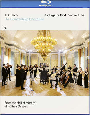 Collegium 1704 : θũ ְ (Bach: Brandenburg Concertos Nos.1-6) 