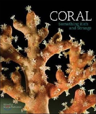Coral: Something Rich and Strange