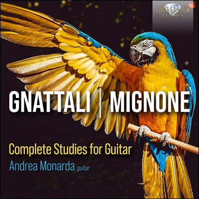 Andrea Monarda ׳Ż / ̴: Ÿ ְ (Gnattali / Mignone: Complete Studies For Guitar)