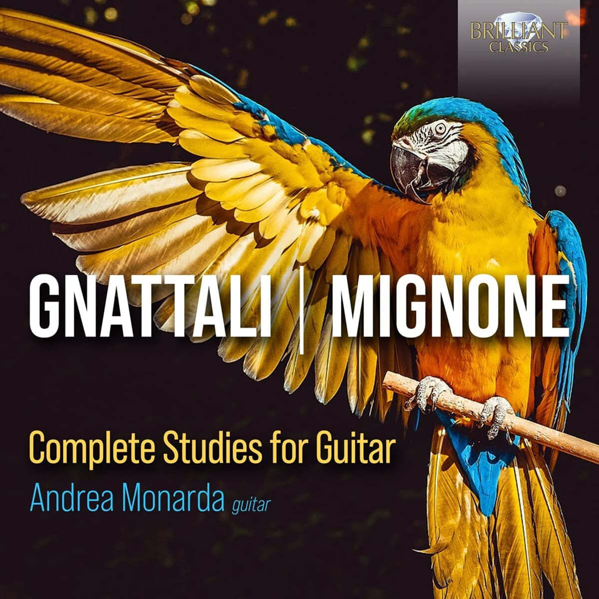 Andrea Monarda 그나탈리 / 미뇽: 기타 독주곡집 (Gnattali / Mignone: Complete Studies For Guitar)