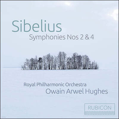 Owain Arwel Hughes ú콺:  2 4 (Sibelius: Symphony Op.43, Op.63)