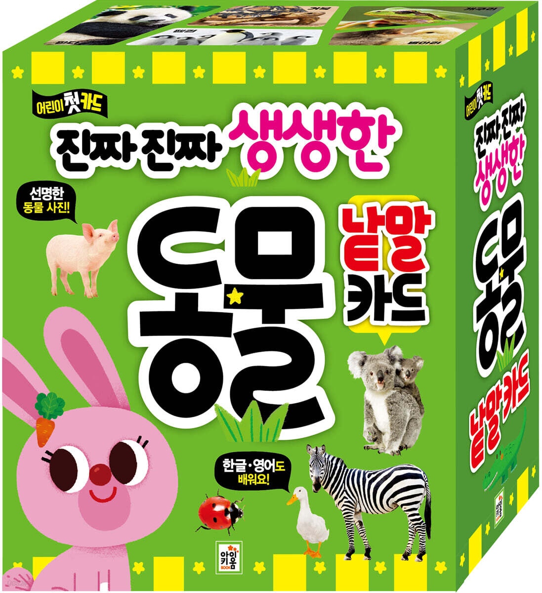 진짜 진짜 생생한 동물 낱말 카드