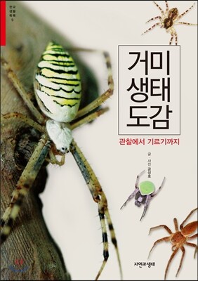 거미 생태 도감