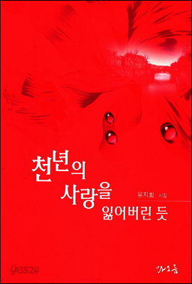 천년의 사랑을 잃어버린 듯