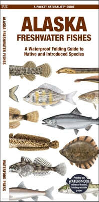 Alaska Freshwater Fishes: A Waterproof Folding Guide to Native and Introduced Species