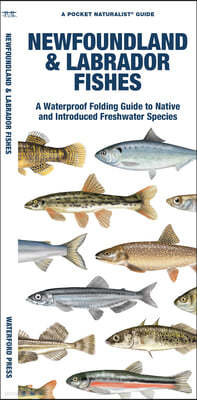 Newfoundland & Labrador Fishes: A Folding Guide to Native and Introduced Freshwater Species