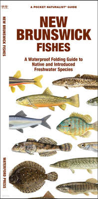 New Brunswick Fishes: A Folding Guide to Native and Introduced Freshwater Species