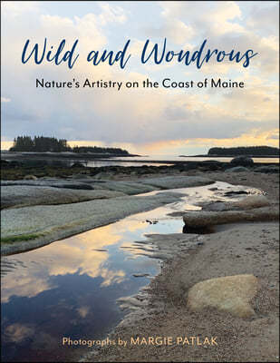 Wild and Wondrous: Nature's Artistry on the Coast of Maine