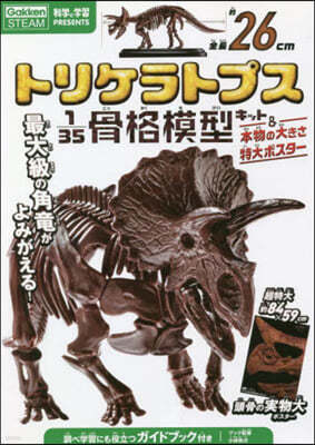 トリケラトプス 1/35骨格模型キット&本物の大きさ特大ポスタ-