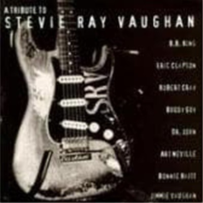 V.A. (Tribute) / A Tribute To Stevie Ray Vaughan (수입)