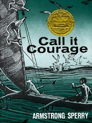 Call It Courage (Hardcover)