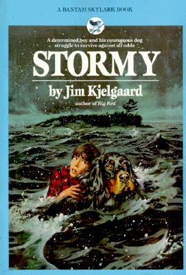 Stormy (Paperback)