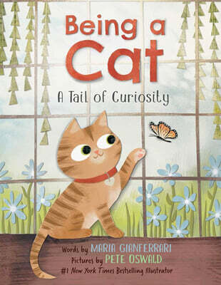Being a Cat: A Tail of Curiosity