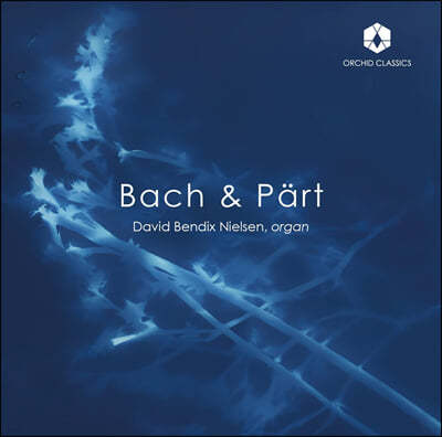 David Bendix Nielsen  / Ƹ иƮ:   (Bach & Part: Organ Works)