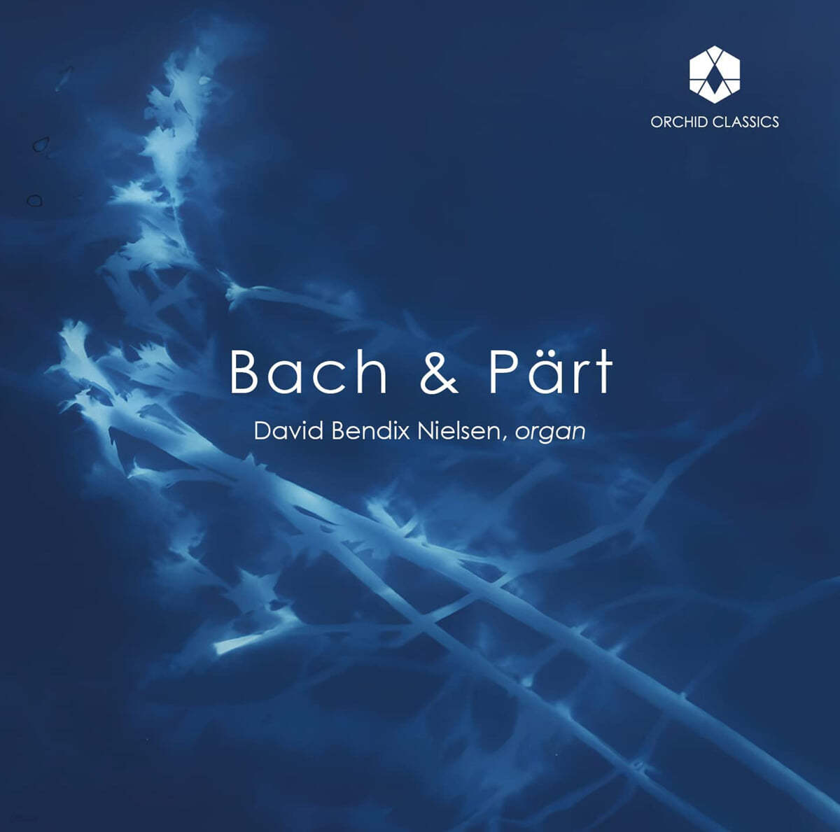David Bendix Nielsen 바흐 / 아르보 패르트: 오르간 연주집 (Bach & Part: Organ Works)