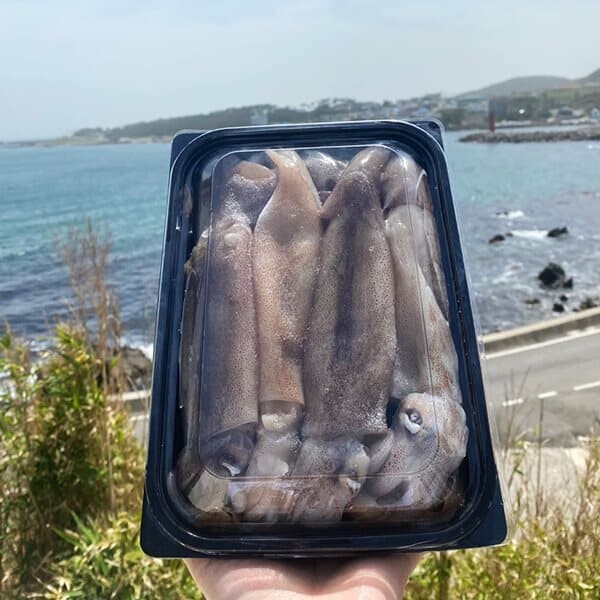 [잇츠씨푸드] 급냉 원양산 초코오징어 1kgx2팩(16~20미)