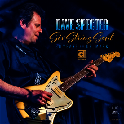 Dave Specter — Six String Soul: 30 Years On Delmark (Gatefold)(Download Card) 앨범 커버