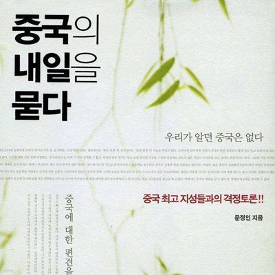 중국의 내일을 묻다