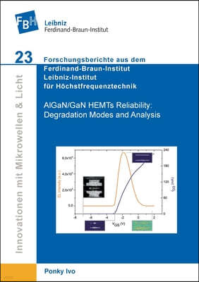 AlGaN/GaN HEMTs Reliability. Degradation Modes and Analysis