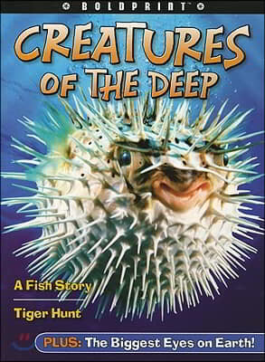 [߰] Steck-Vaughn Boldprint Anthologies: Individual Student Edition Orange Creatures of the Deep